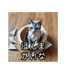 折り紙猫の関西弁スタンプ（個別スタンプ：18）