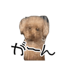 ばーにーくんのすたんぷ。（個別スタンプ：4）
