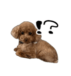 ばーにーくんのすたんぷ。（個別スタンプ：7）