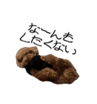 ばーにーくんのすたんぷ。（個別スタンプ：8）