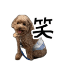 ばーにーくんのすたんぷ。（個別スタンプ：9）