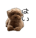 ばーにーくんのすたんぷ。（個別スタンプ：11）