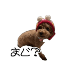 ばーにーくんのすたんぷ。（個別スタンプ：14）