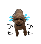ばーにーくんのすたんぷ。（個別スタンプ：16）