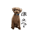 ばーにーくんのすたんぷ。（個別スタンプ：17）