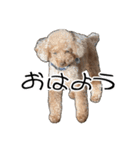 ばーにーくんのすたんぷ。（個別スタンプ：18）