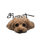 ばーにーくんのすたんぷ。（個別スタンプ：19）
