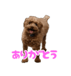ばーにーくんのすたんぷ。（個別スタンプ：23）