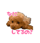 ばーにーくんのすたんぷ。（個別スタンプ：24）