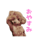 ばーにーくんのすたんぷ。（個別スタンプ：26）