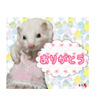 フェレズスタンプ⑦（個別スタンプ：10）