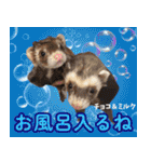 フェレズスタンプ⑦（個別スタンプ：29）