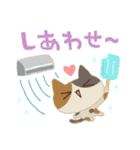 ねこにゃん達の夏便り（個別スタンプ：4）