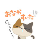 ねこにゃん達の夏便り（個別スタンプ：25）