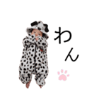環ちゃんスタンプ2024.07（個別スタンプ：23）