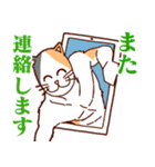 SAKスタンプ総集編4（個別スタンプ：11）