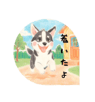 ❇誰でも使えるフレーズ①❇ハスキー犬❇（個別スタンプ：6）