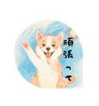 ❇誰でも使えるフレーズ①❇ハスキー犬❇（個別スタンプ：9）