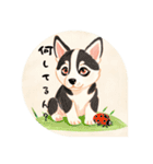 ❇誰でも使えるフレーズ①❇ハスキー犬❇（個別スタンプ：15）