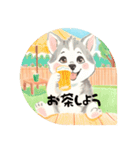 ❇誰でも使えるフレーズ①❇ハスキー犬❇（個別スタンプ：23）