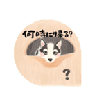 ❇誰でも使えるフレーズ①❇ハスキー犬❇（個別スタンプ：26）