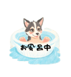 ❇誰でも使えるフレーズ①❇ハスキー犬❇（個別スタンプ：35）