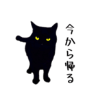 黒猫の帰るコールスタンプ（個別スタンプ：7）