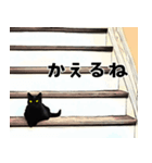 黒猫の帰るコールスタンプ（個別スタンプ：15）