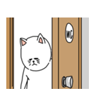 お腹が弱い猫の下痢便秘スタンプ／文字無し（個別スタンプ：17）