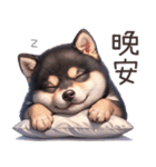 愛しの黒柴犬（台湾）（個別スタンプ：8）