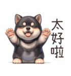 愛しの黒柴犬（台湾）（個別スタンプ：10）