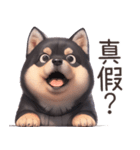 愛しの黒柴犬（台湾）（個別スタンプ：14）