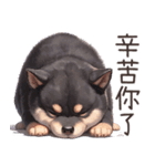 愛しの黒柴犬（台湾）（個別スタンプ：15）