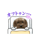 あべ家のわんこ達2（個別スタンプ：8）