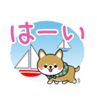 夏を感じる♡豆柴・柴犬【デカ文字】（個別スタンプ：9）