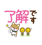 夏を感じる♡豆柴・柴犬【デカ文字】（個別スタンプ：10）