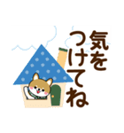 夏を感じる♡豆柴・柴犬【デカ文字】（個別スタンプ：15）