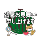 夏を感じる♡豆柴・柴犬【デカ文字】（個別スタンプ：28）