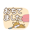 夏を感じる♡豆柴・柴犬【デカ文字】（個別スタンプ：30）