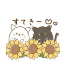 にゃぷねこ夏（個別スタンプ：37）