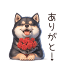 愛しの黒柴犬（個別スタンプ：3）