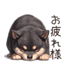 愛しの黒柴犬（個別スタンプ：15）