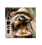 アライグマの使える日常会話（個別スタンプ：12）