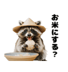 アライグマの使える日常会話（個別スタンプ：40）