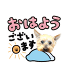 しょうちゃん（でかヨーキー）（個別スタンプ：17）