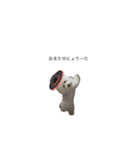 はかせ（1）（個別スタンプ：6）