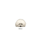 はかせ（1）（個別スタンプ：9）