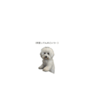 はかせ（1）（個別スタンプ：13）