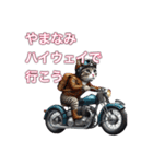 バイクに乗る猫【九州/ツーリング】（個別スタンプ：1）