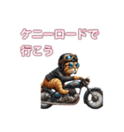 バイクに乗る猫【九州/ツーリング】（個別スタンプ：2）